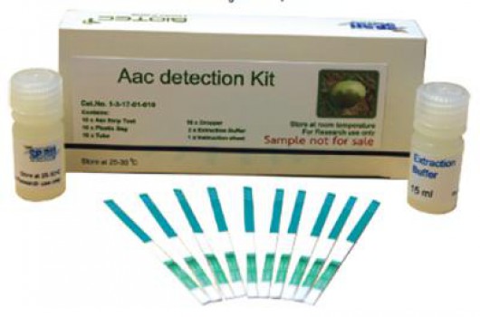 งานวิจัยชุดตรวจแบบง่ายที่ใช้ตรวจเชื้อแบคทีเรีย Acidovorax avenaesubsp. Citrulli (Aac) สำหรับพืชตระกูลแตง